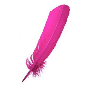 Wholesale Pink Feathers (Package of 10)