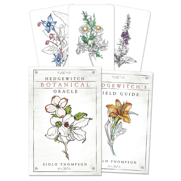 Wholesale The Hedgewitch Botanical Oracle