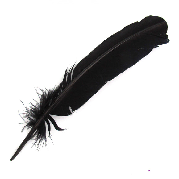 Wholesale Black Feathers (Package of 10)