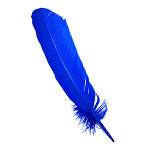 Wholesale Blue Feathers (Package of 10)