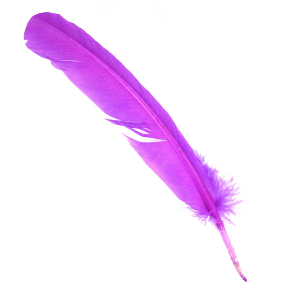 Wholesale Purple Feathers (Package of 10)