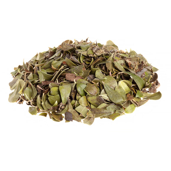 Wholesale Bearberry Leaf (1 oz)