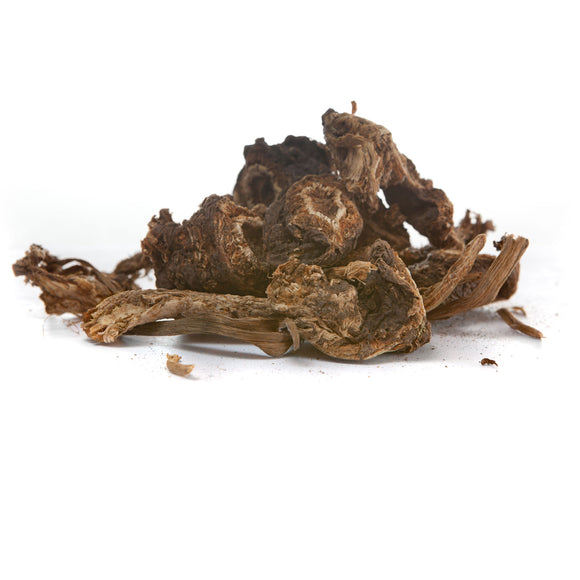 Wholesale Osha Root (1 oz)