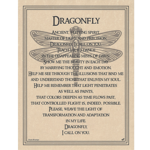 Wholesale Dragonfly Poster