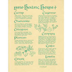 Wholesale Nine Healing Herbs Poster