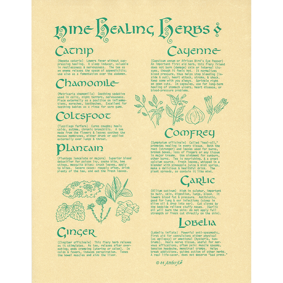 Wholesale Nine Healing Herbs Poster