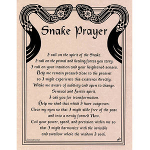 Wholesale Snake Prayer Poster