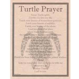 Wholesale Turtle Prayer Poster