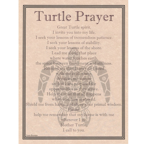 Wholesale Turtle Prayer Poster