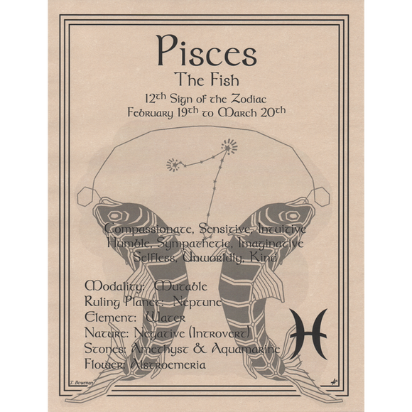 Wholesale Pisces Zodiac Poster