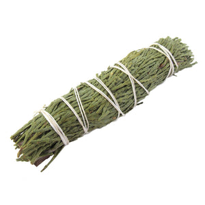 Wholesale Cedar Bundle (3-4 Inches)