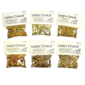 Wholesale Buffer for Headaches Herbal Tea by Lady's Choice