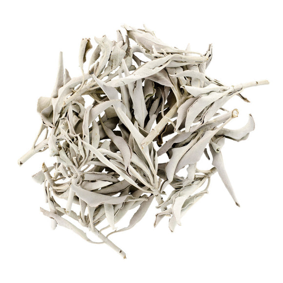 Wholesale White Sage (2 oz)