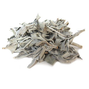 Wholesale White Sage (1 oz)