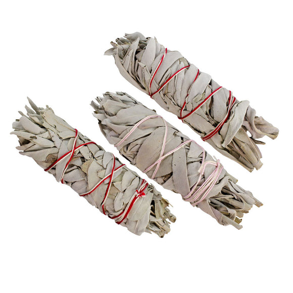 Wholesale White Sage Bundles (Package of 3)