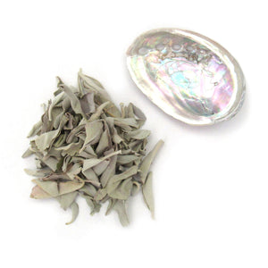 Wholesale White Sage (Loose) with Mini Shell